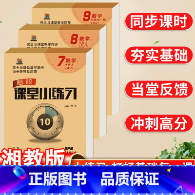 数学·湘教版 七年级上 [正版]名校课堂小练习七八九年级上册数学湘教版同步课堂基础练习每日一练当堂检测初中小题狂做一课一