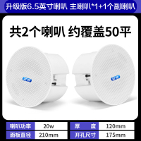 先科(SAST)G4 无线蓝牙吸顶音响吊顶天花喇叭套装家装商店铺餐厅超市家用重低音同轴一拖一