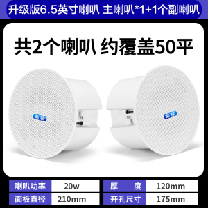 先科(SAST)G4 无线蓝牙吸顶音响吊顶天花喇叭套装家装商店铺餐厅超市家用重低音同轴一拖一