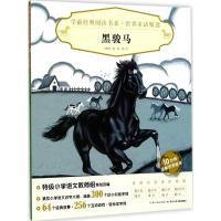 黑骏马