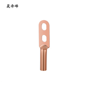晟帝峰 双孔铜线鼻子 DTS-35 个