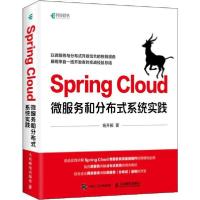 正版新书]Spring Cloud微服务和分布式系统实践杨开振9787115532