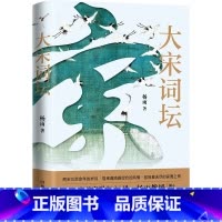 [正版]大宋词坛 百家讲坛中国诗词大会杨雨新作 苏轼欧阳修晏殊李煜柳永等二十名宋代有名词人中国古典文学诗歌书书籍