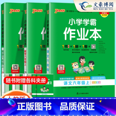 套装4本[语+数+英+科] 六年级下 [正版]2024秋小学学霸作业本六年级上下册语文数学英语人教版北师小学学霸做业本6