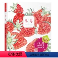 草莓 [正版]自然科普绘本 草莓 3-4-5-6岁幼儿童早教启蒙认知绘本新星出版社睡前图画故事书籍幼儿园宝宝课外阅读书籍