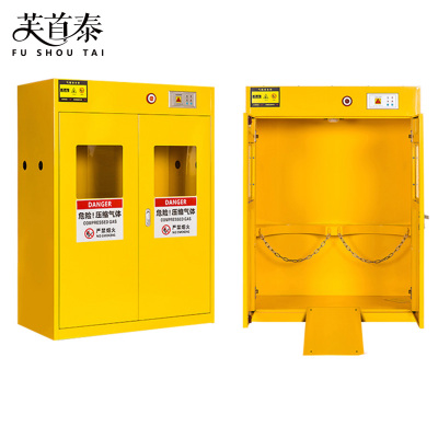 芙首泰气瓶柜双瓶二代报警900*450*1200mm台