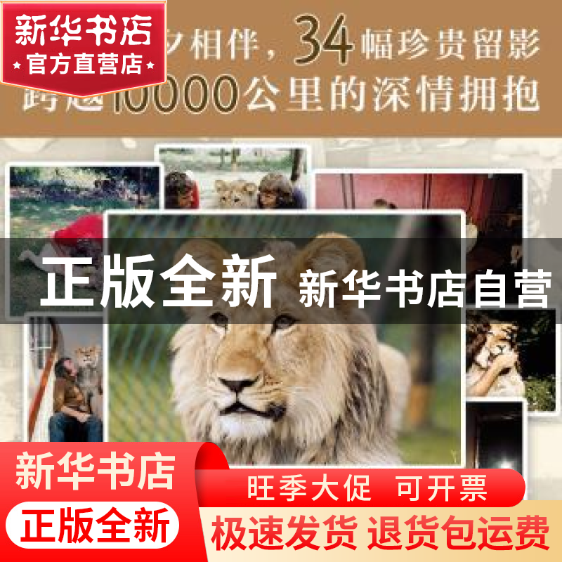 正版 我们的狮子朋友 (澳)安东尼·布尔克,(澳)约翰·兰道尔著 南