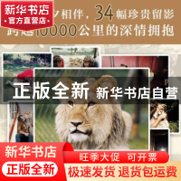 正版 我们的狮子朋友 (澳)安东尼·布尔克,(澳)约翰·兰道尔著 南