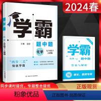 化学 九年级下 [正版]经纶学典2024春学霸题中题九年级化学下册人教版RJ 学霸化学九下中学教辅初三9年级下同步课时作