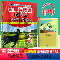 [正版]2024五年级语文现代文课外阅读上下册小学语文阅读理解专项训练题辅导书 5年级语文人教版课外阅读书籍每日一练有