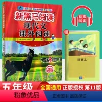 [正版]2024五年级语文现代文课外阅读上下册小学语文阅读理解专项训练题辅导书 5年级语文人教版课外阅读书籍每日一练有