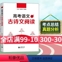 [正版]高考语文古诗文阅读第2版 高中一二三年级适用 杨青松 上海教育出版 高考文言文阅读训练古诗词知识解读梳理考点分