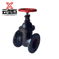 云型巨 铸铁法兰闸阀 Z45T-16暗杆DN80 个