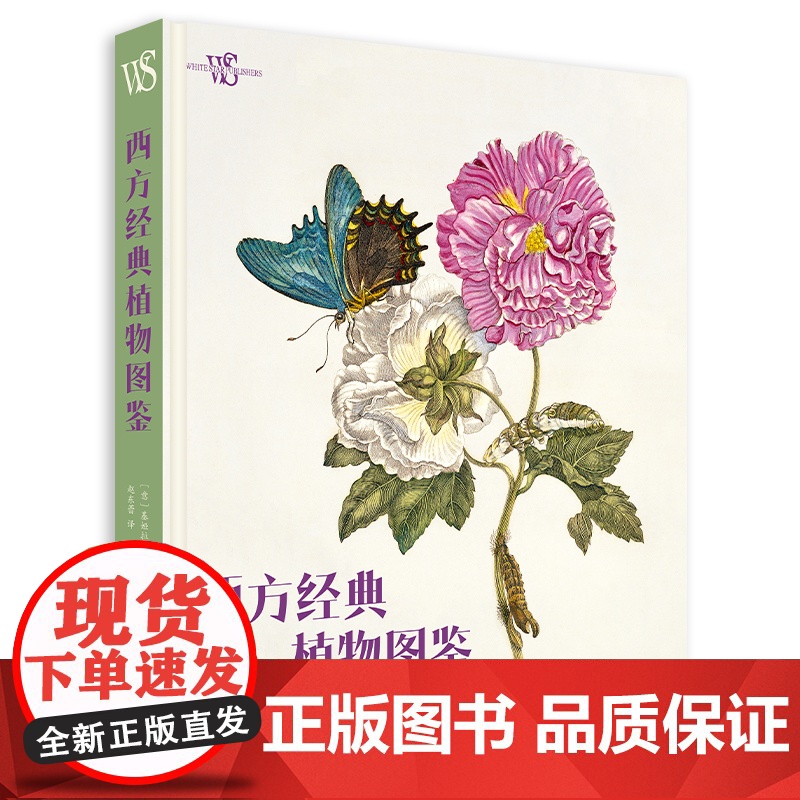 西方经典植物图鉴 148张高清手绘植物图集 精选26位植物学家和插图画家的精美植物插图 1世纪至19世纪末植物典籍插图精
