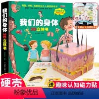 我们的身体立体翻翻书 [正版]数学启蒙翻翻书揭秘系列小学生加减法翻翻3-8-12岁儿童启蒙认知绘本幼儿益智科学探索人体恐