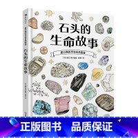 单册 [正版]盛口满的手绘自然图鉴 石头的生命故事 著名博物学家盛口满的手绘自然图鉴, 带你感受地球的沧海桑田 与石
