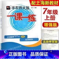 2022华师大一课一练 英语增强版 7上 七年级/初中一年级 [正版]2024华东师大版一课一练 英语N版 增强版七年级