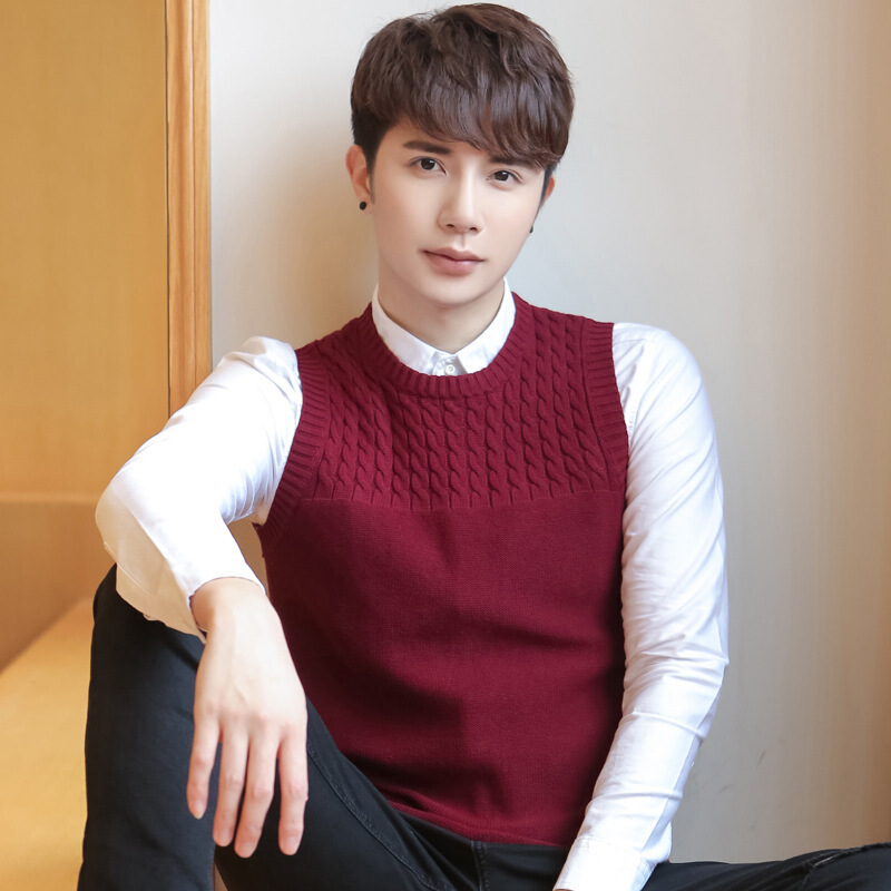 迪鲁奥(diluao)秋季无袖毛衣背心男士棉针织衫毛线马夹青年男生毛背心