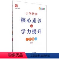 [正版]2021秋 小学数学 核心素养与学力提升 2 二年级 上册 人教版RJ 全彩印刷 上学期 延边教育出版社