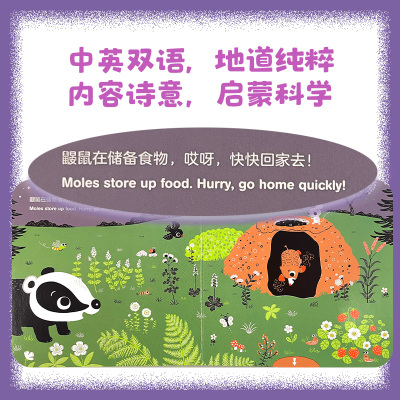 小手动动推拉机关书·星空漫步