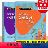 语文 [正版]语文期末分项复习21天三年级上下全2册 核心素养天天练 小学生单元同步测试卷期中末综合复习冲刺检测考试卷作
