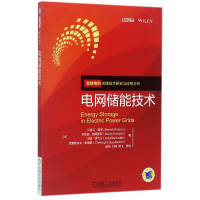 音像电网储能技术/智能电网关键技术研究与应用丛书