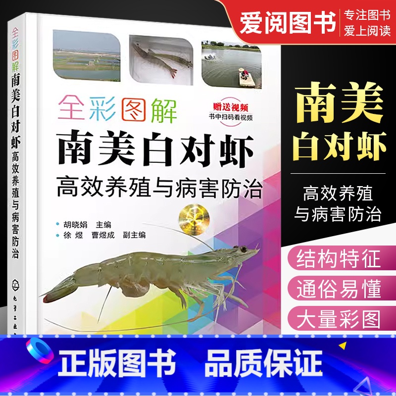 [正版]全彩图解南美白对虾高效养殖与病害防治 化学工业出版社 养殖池塘环境调控技术 主要养殖模式 病害综合防控技术 对