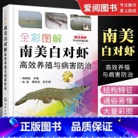 [正版]全彩图解南美白对虾高效养殖与病害防治 化学工业出版社 养殖池塘环境调控技术 主要养殖模式 病害综合防控技术 对