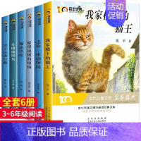 百年经典作品[6册] [正版]小学生经典国际大奖文学长腿叔叔 书籍 儿童文学小说名著美绘版 9-10-11-12岁小学