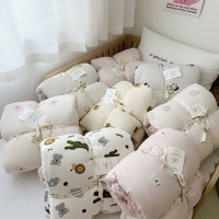 A类纯棉双层纱豆豆绒幼儿园宝宝儿童春秋被小被子单人加厚冬被ins