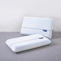 汉司家纺 HANSI-47 双芯护颈深睡记忆枕42*70cm 标准款 (计价单位:个)白色