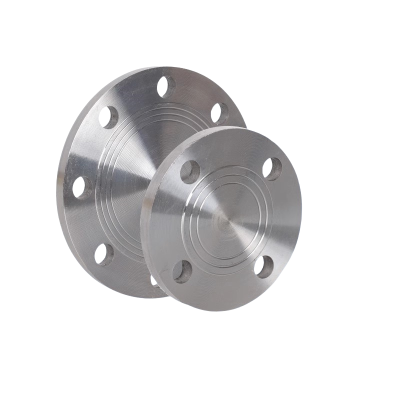 智铮朗月 碳钢法兰盲板 DN300 个