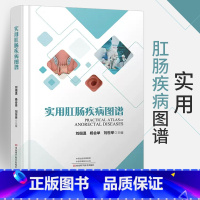 [正版]精装彩图实用肛肠手术图谱 刘佃温 结直肠肛门的解剖常用检查方法 肛肠疾病手术治疗方式 诊断与鉴别诊断治疗措施预