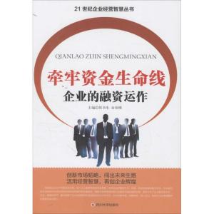 牵牢资金生命线 企业的融资运作
