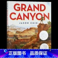 大峡谷 [正版]等待 英文原版绘本Waiting 凯迪克银奖 儿童英语启蒙图画故事书 Kevin Henkes 亲子互动