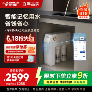 AO史密斯净水器全时高水效专利MAX3.0反渗透滤芯1.6升/分钟升级款厨下式直饮净水机R1600HWi-EE