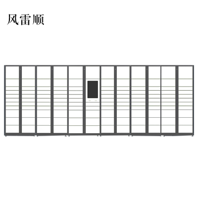 风雷顺智能快递柜小区快递自提柜派件柜室外寄存柜信报箱储物柜一主五副127格