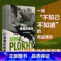 [正版]愚蠢的核弹:古巴导弹危机新史 浦洛基著 三国视角重构古巴导弹危机本质 世界历史读物美国苏联赫鲁晓夫冷战 核导弹