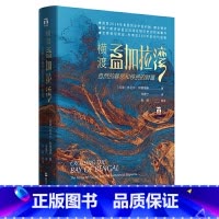 [正版] 好望角丛书 横渡孟加拉湾 自然的暴怒和移民的财富 浙江人民出版社 书籍