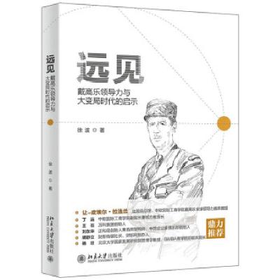 正版新书]远见:戴高乐领导力与大变局时代的启示徐波 著9787301