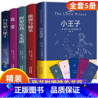 精装名著装(全5册) [正版]世界文学名著原著 青少年版名家名译 小学生初中生初一必读的课外书阅读书籍 高中外国小说
