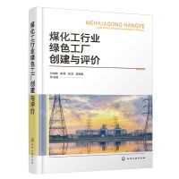[N]煤化工行业绿色工厂创建与评价(精)-9787122440914