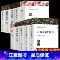 全10册 大卫·科波菲尔+战争与和平+飘+悲惨世界+基督山伯爵 [正版]基督山伯爵三个火枪手三部曲初高中完整原著全译本全
