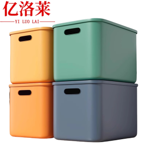 亿洛莱 储物盒 25*18*16cm 个
