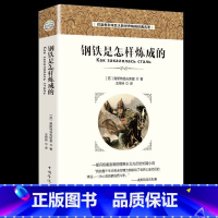 [正版]35元任选5本 钢铁是怎样炼成的 外国小说世界经典文学名著 青少年初高中生课外阅读书籍读物