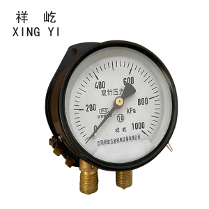 祥屹 双针压力表 带灯24V YZS102 块