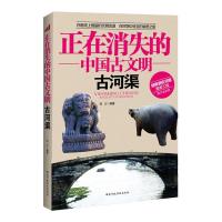 正版新书]正在消失的中国古文明古河渠何力 9787515003702