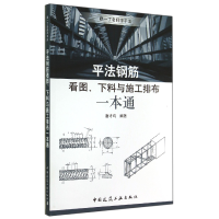 音像平法钢筋看图下料与施工排布一本通/跟一丁老师学平法唐才均