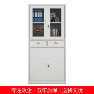 匡大 文件柜铁皮档案柜办公柜中二斗钢柜