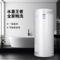 阿里斯顿(ARISTON)圆筒式储热式电热水器 150升-300升超大容量 全家畅洗 DR系列 150L 3000W
